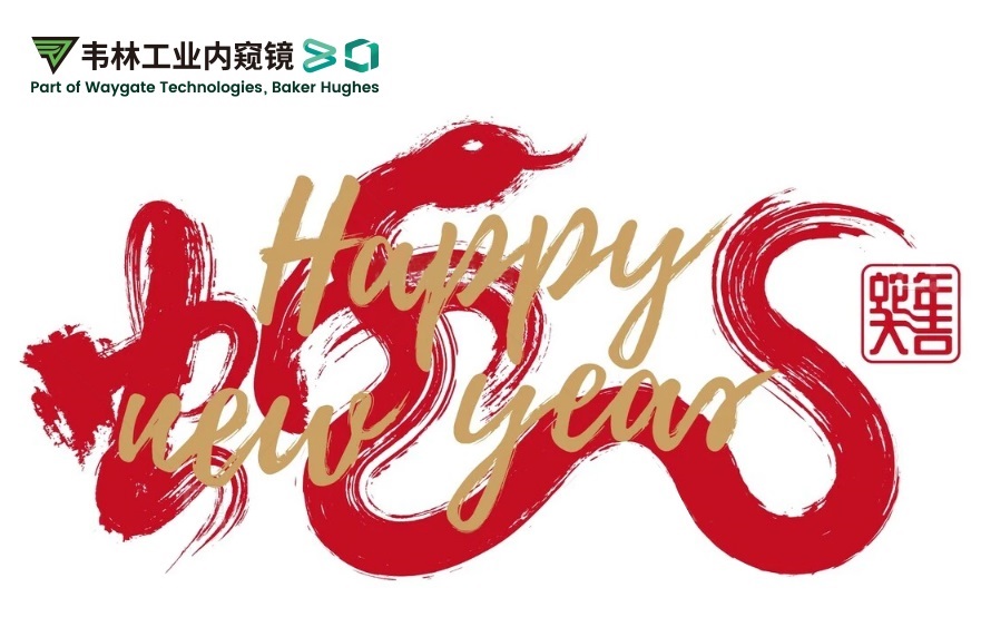 韋林公司祝您：蛇年大吉,福滿(mǎn)乾坤！